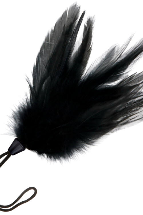 DARKNESS – PLUMA ESTIMULADORA NEGRO 17 CM