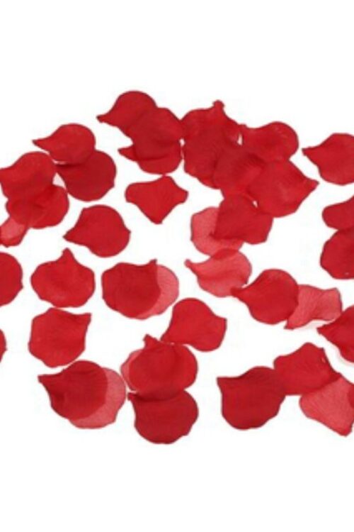 DIABLO PICANTE – 100 PÉTALOS ROJO