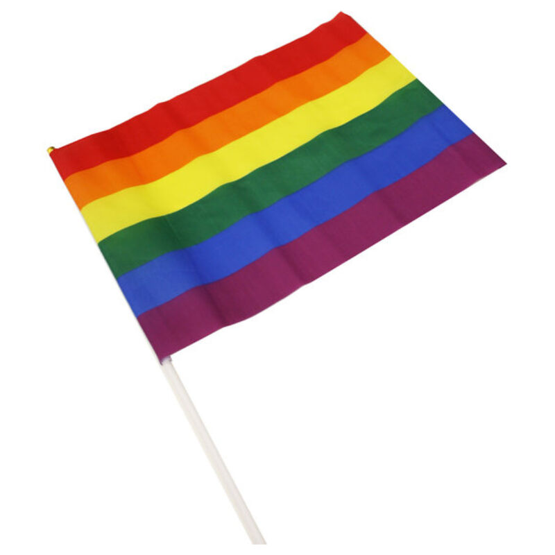 PRIDE – BANDERIN MEDIANO BANDERA LGBT