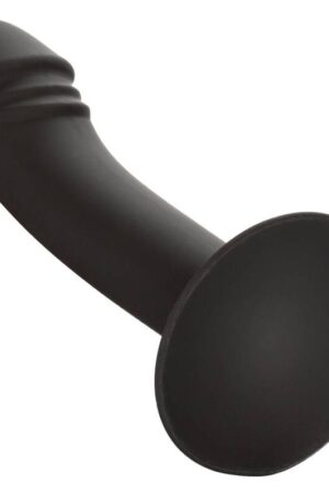 CALEXOTICS - CURVED ANAL STUD