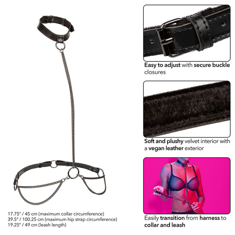 CALEXOTICS - EUPHORIA COLLAR HALTER Y CORREA CON CADENA - Imagen 2