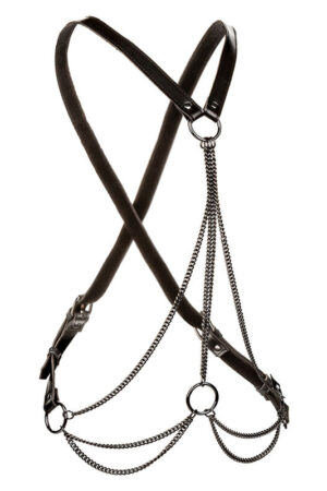 CALEXOTICS - EUPHORIA ARNÉS DE MÚLTIPLES CADENAS PREMIUM TALLA PLUS