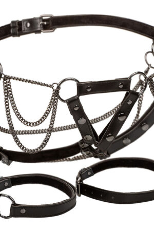 CALEXOTICS - EUPHORIA ARNÉS DE MUSLO CON CADENAS PREMIUM TALLA PLUS