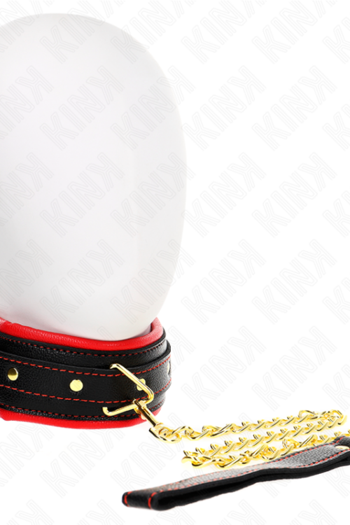 KINK – COLLAR CON CORREA ESPONJA IMITACIÓN CUERO MODELO 2 AJUSTABLE 37-54 CM X 3 CM