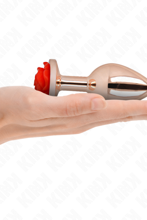 KINK – PLUG ANAL ORO ROSADO ROSA ROJA L