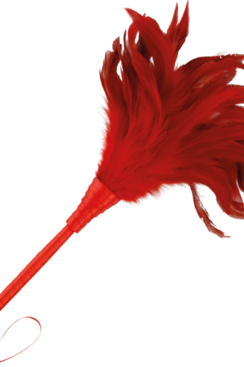 DARKNESS – PLUMA ESTIMULADORA ROJO 24CM