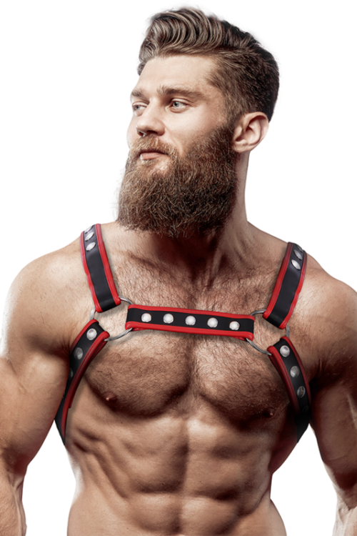 FETISH SUBMISSIVE ATTITUDE – ARNÉS BULLDOG ECOPIEL PECHO HOMBRE NEGRO/ROJO