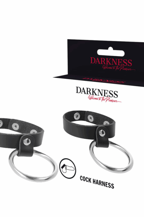 DARKNESS – ANILLO DE METAL PARA EL PENE Y TESTÍCULOS