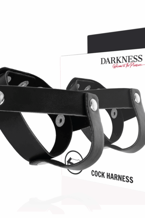 DARKNESS – ANILLO DE PIEL PARA PENE Y TESTÍCULOS